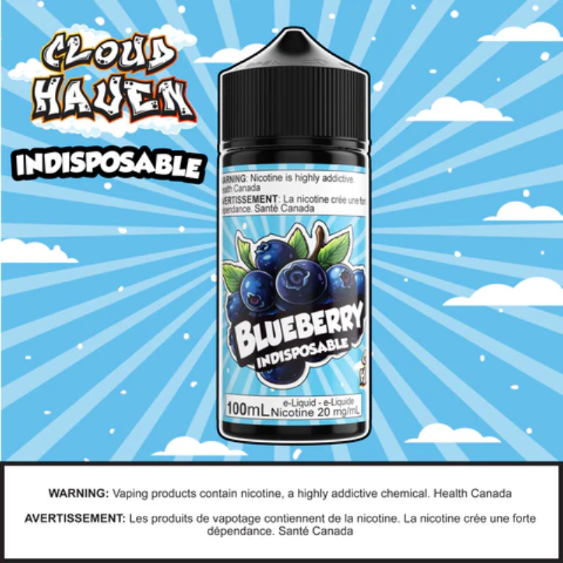 INDISPOSABLE - Blueberry Ice 100ml SALT Saskatchewan
