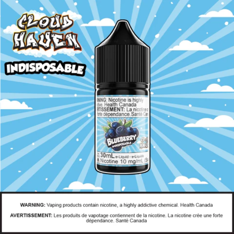 INDISPOSABLE - Blueberry Ice 30ml Salt Alberta