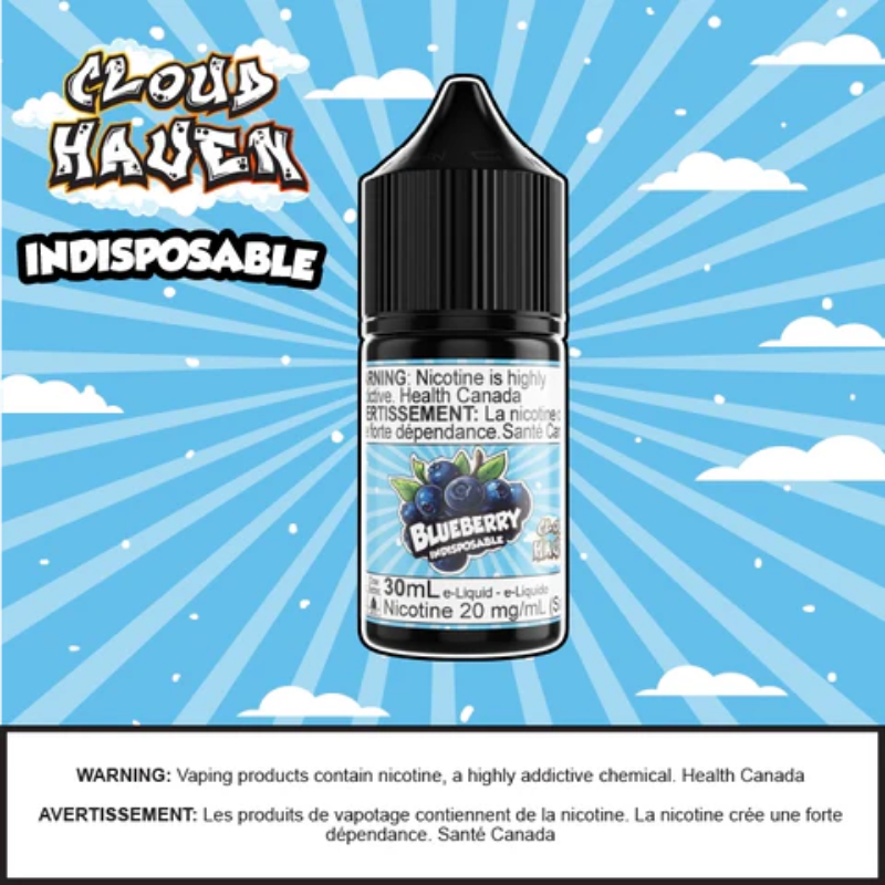 INDISPOSABLE - Blueberry Ice 30ml Salt Alberta