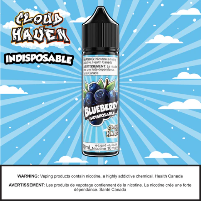 INDISPOSABLE - Blueberry Ice 60ml SALT British Columbia