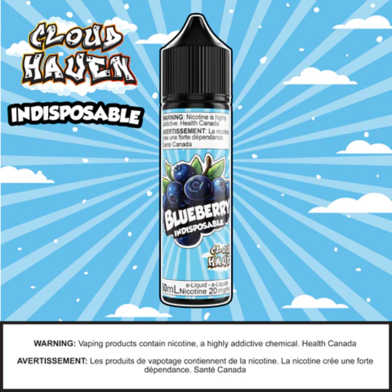 INDISPOSABLE - Blueberry Ice 60ml SALT Saskatchewan