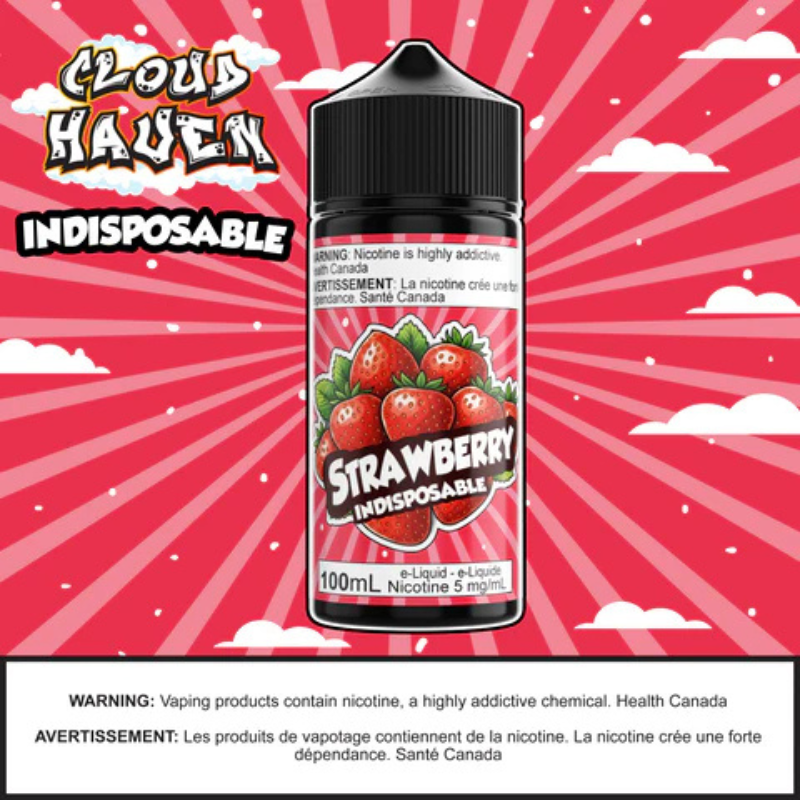INDISPOSABLE - Strawberry Ice 100ml Saskatchewan