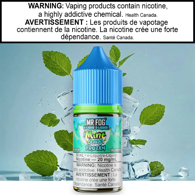 Mr Fog Mint Steezy E-Juice 30 Salt AB