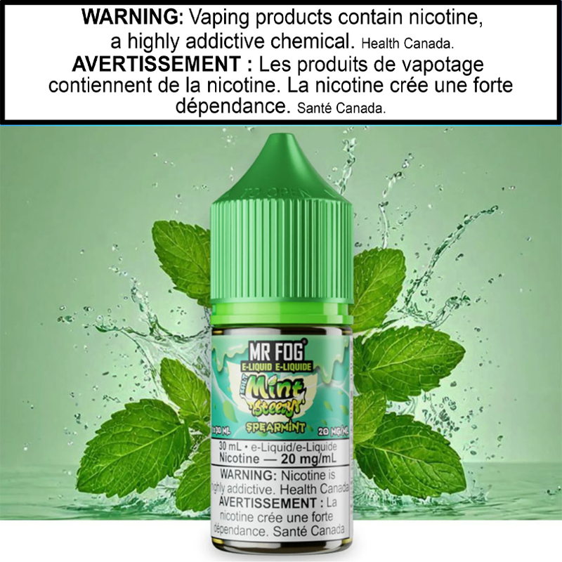 Mr Fog Mint Steezy E-Juice 30 Salt AB