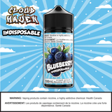 INDISPOSABLE - Blueberry Ice 100ml SALT Manitoba
