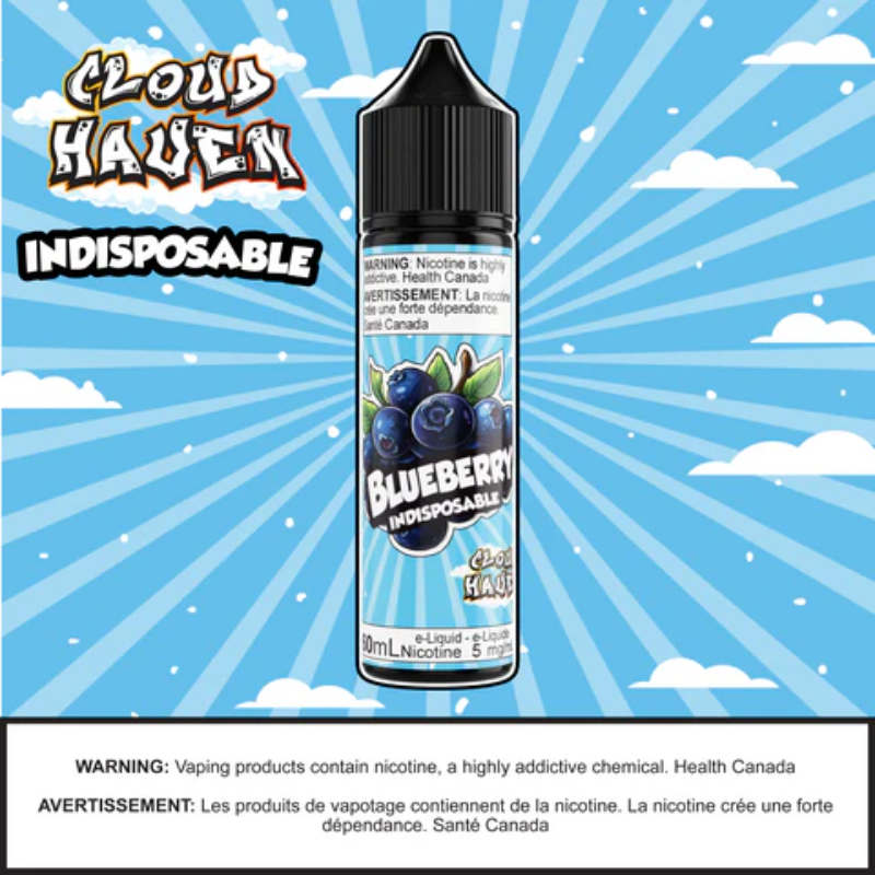 INDISPOSABLE - Blueberry Ice 60ml Manitoba