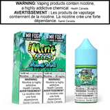 Mr Fog Mint Steezy E-Juice 30 Salt AB