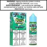 Mr Fog Mint Steezy E-Juice 60ml AB