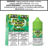Mr Fog Mint Steezy E-Juice 30 Salt AB