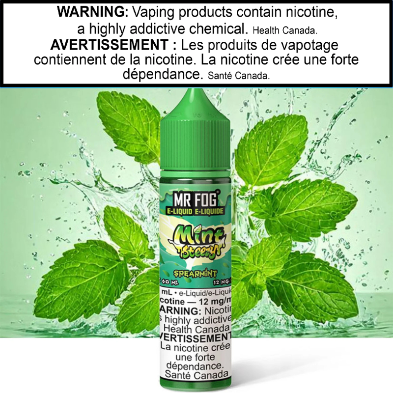 Mr Fog Mint Steezy E-Juice 60ml AB
